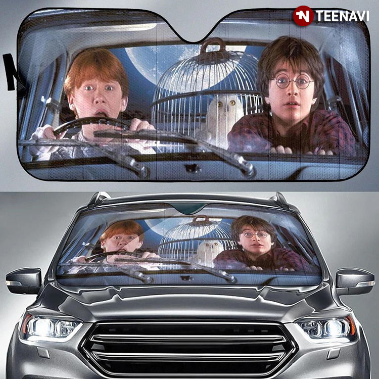 Ron And Harry Potter Driving Flying A Car To Hogwarts Mystery