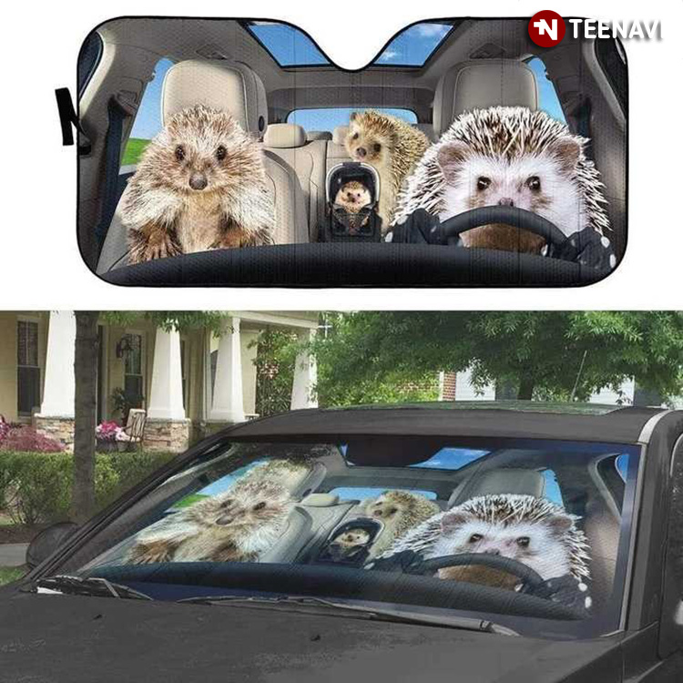 Hedgehog Family Driving For A Vacay