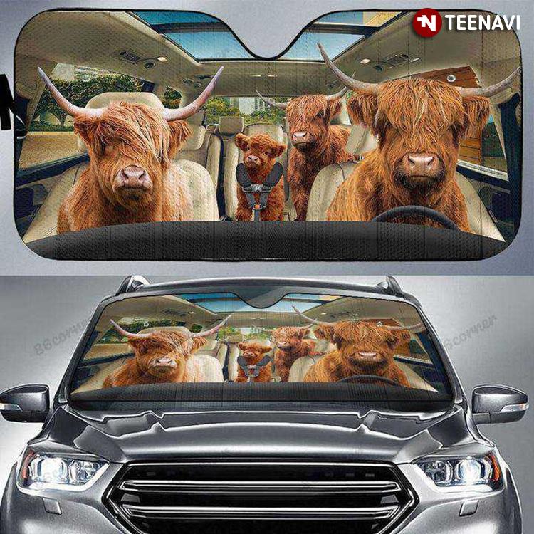 Highland Cattle Driving A Car Funny For Animal Lover