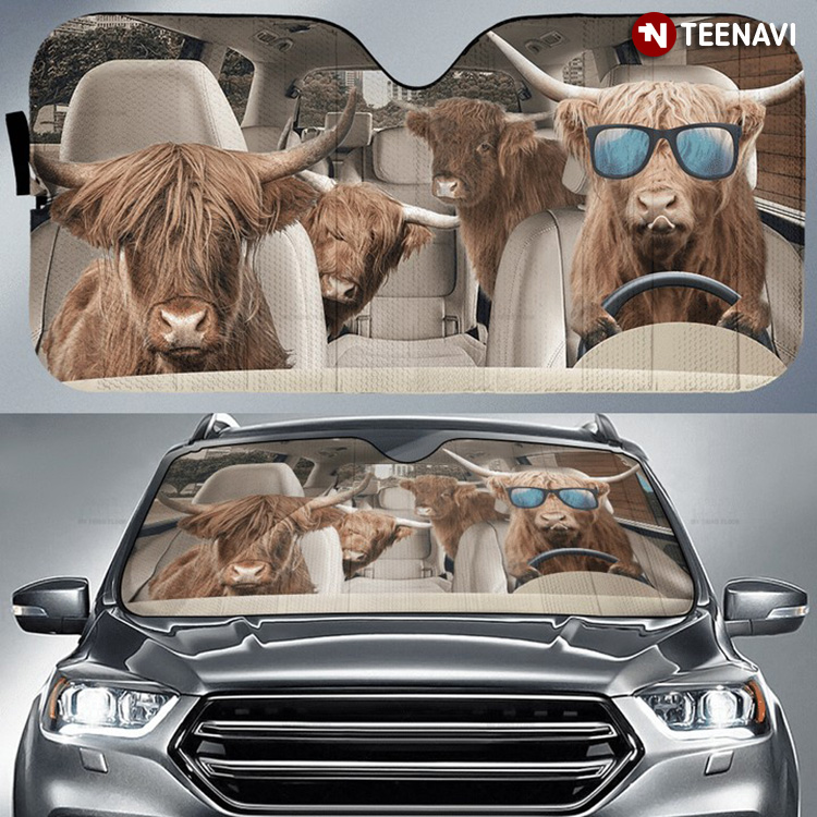 Highland Cattle Wearing Glasses Driving Car
