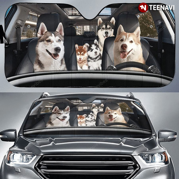 Dog Siberian Husky Driving With Family New Version