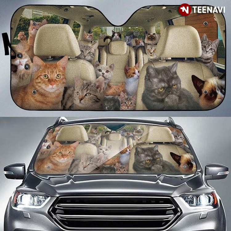 Lovely Cat Family Driving A Car To The Party