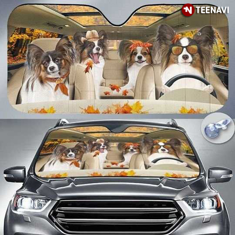 Cute Papillon Dog Driving In Autumn For Dog Lover