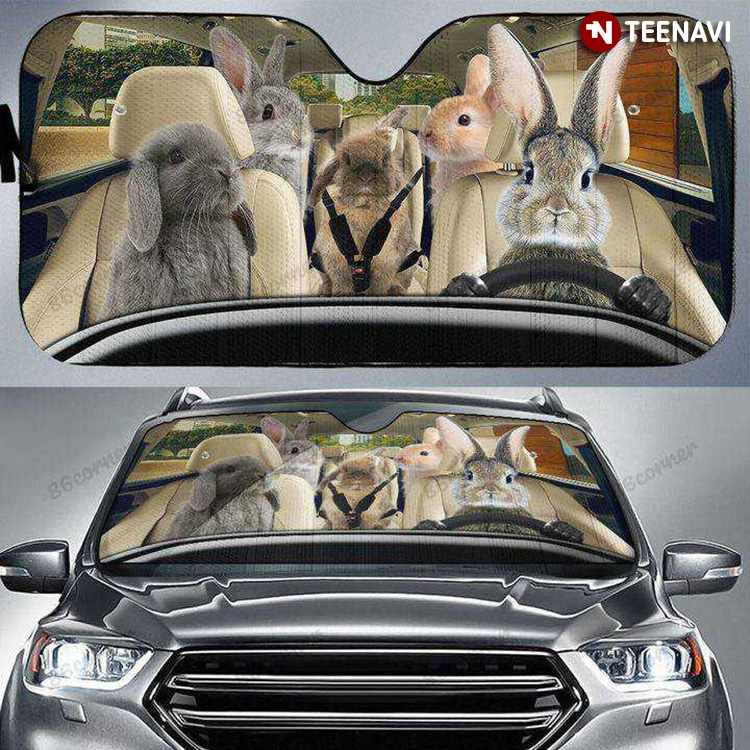 I'm Rabbit Who Knows Driving A Car For Rabbit Lover