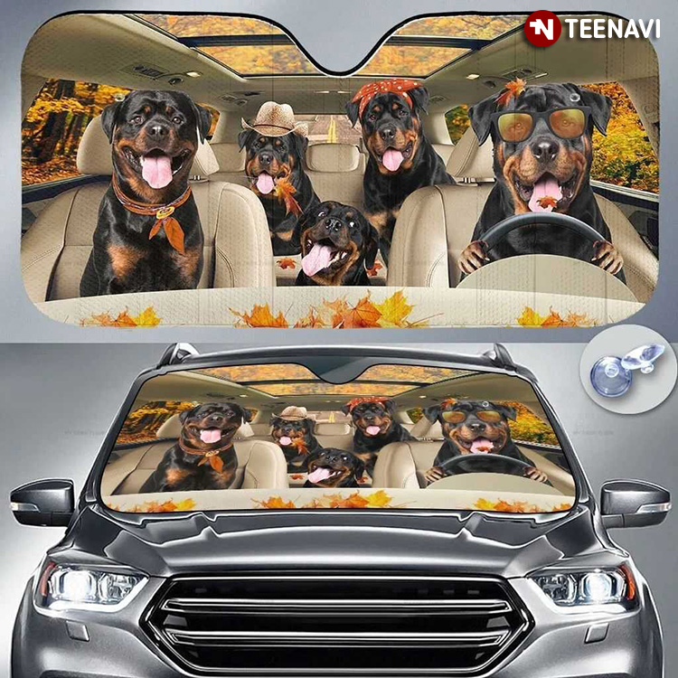 Rottweiler Dogs Driving Welcome To The Autumn