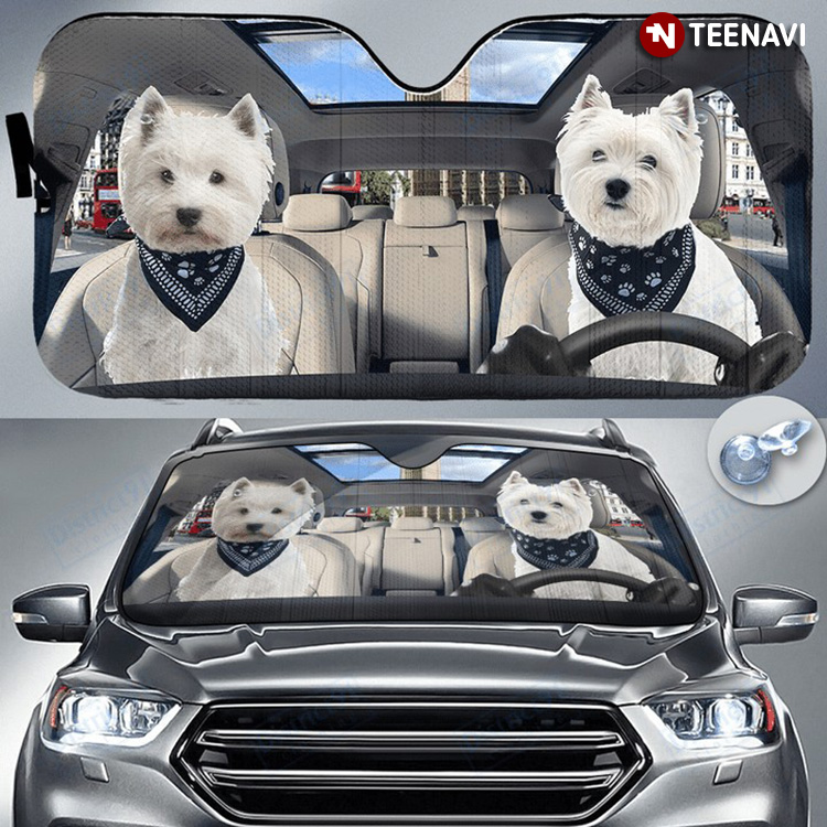 Tiny West Highland White Terrier Dog Driving For Dog Person