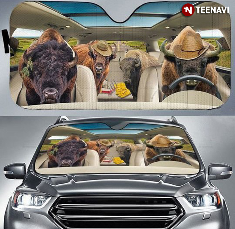 American Bison Driving For Animal Lover