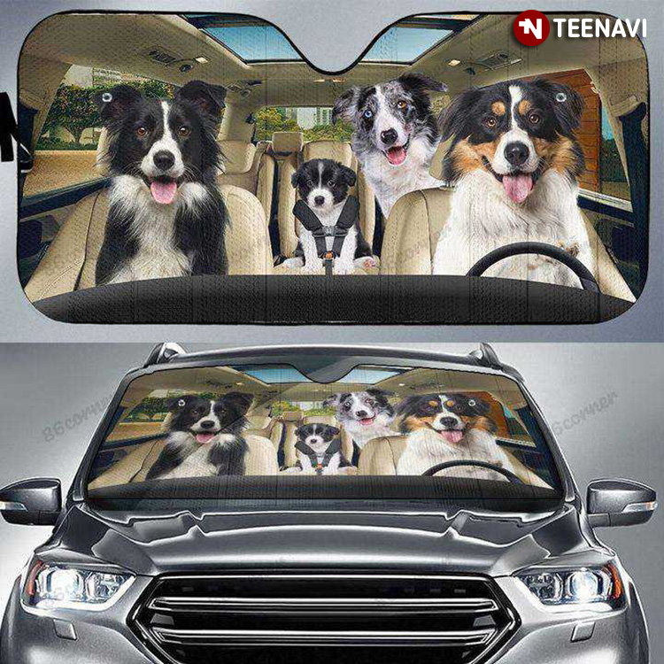 We Are Border Collie We Are Driving For Dog Lover