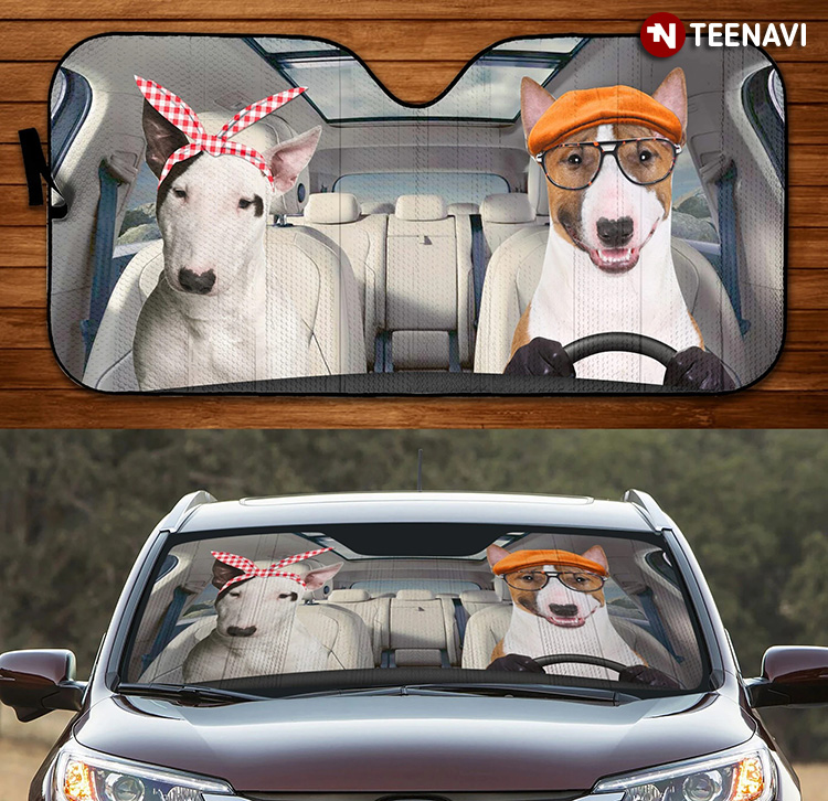 Do We Look Cute Bull Terrier Dog Driving