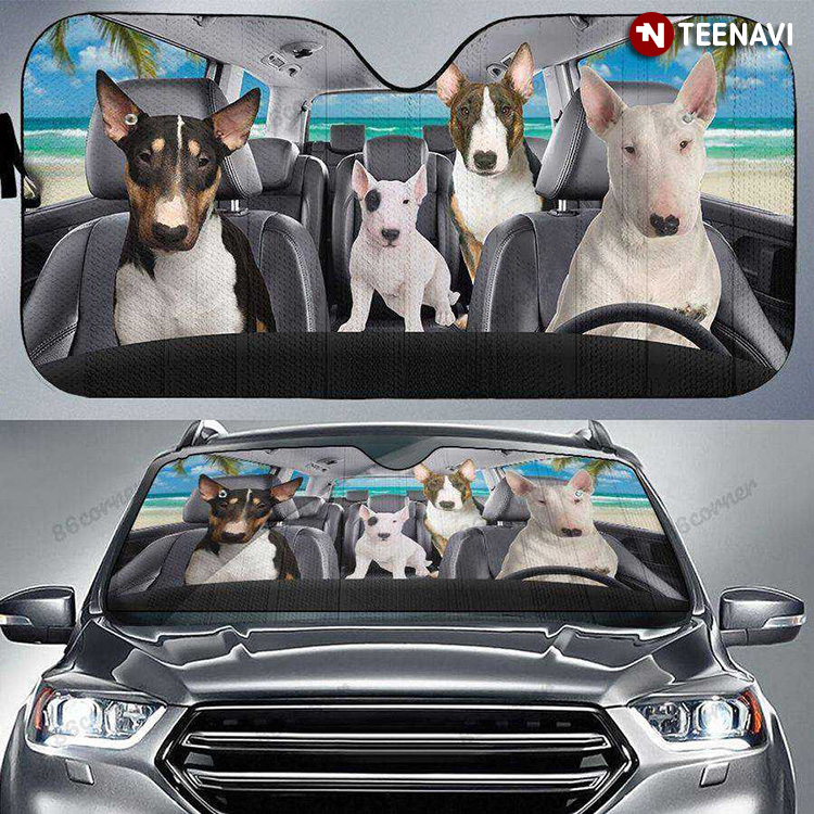 We Are A Bull Terrier Family Driving For Dog Person