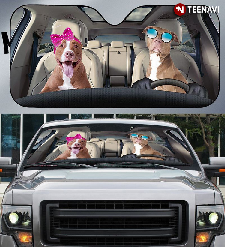 Pitbull Couple Driving For Dog Lover