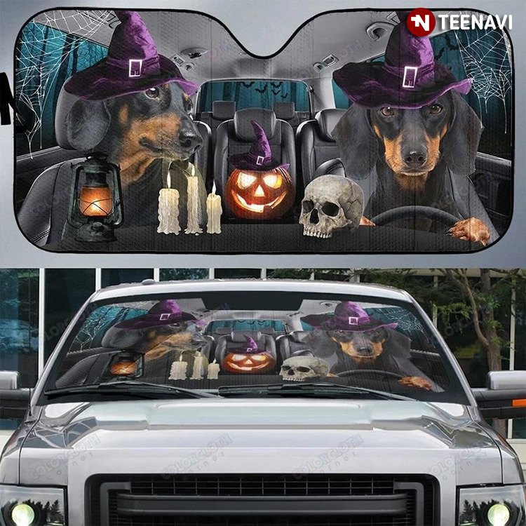 Dachshund Witch Driving Joining The Halloween