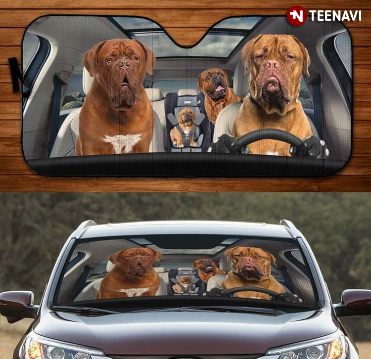 I'm Dogue De Bordeaux Not Old Like My Look Driving