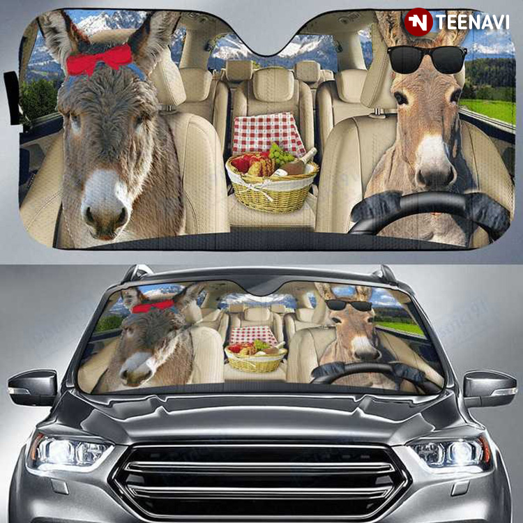 Funny Donkey Driving For Camping