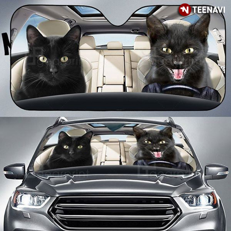 Black Cats Don't Wear A Hat Driving For Cat Lover