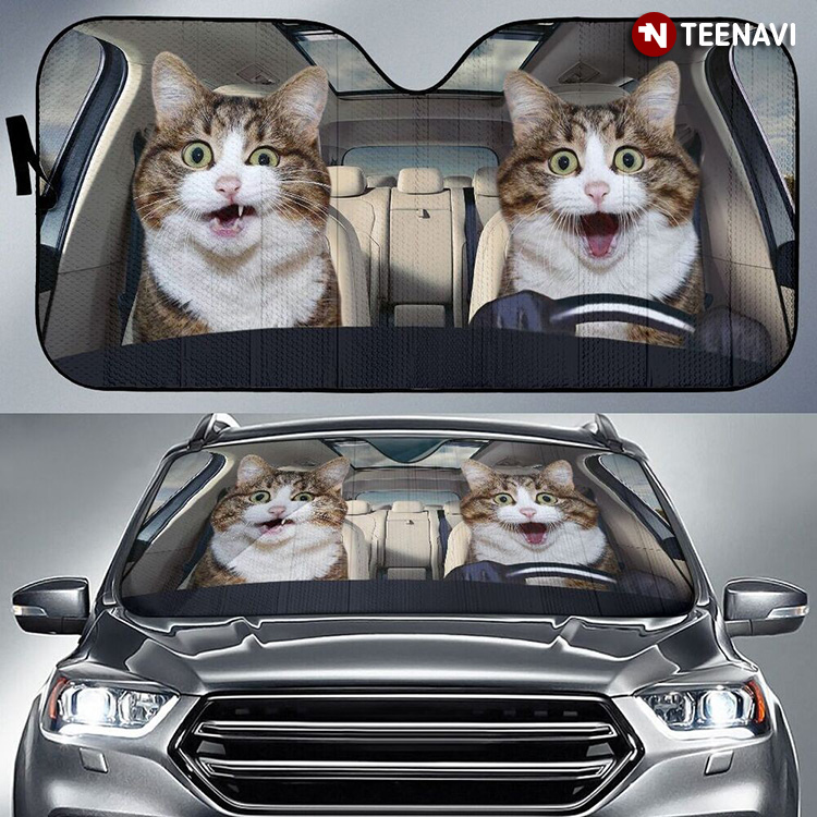 Stop Driving Too Fast Cat Face For Pet Lover