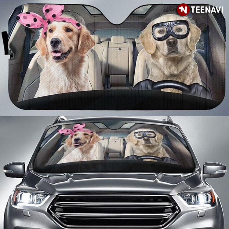 Golden Retriever Couple Driving A Car For Dog Person