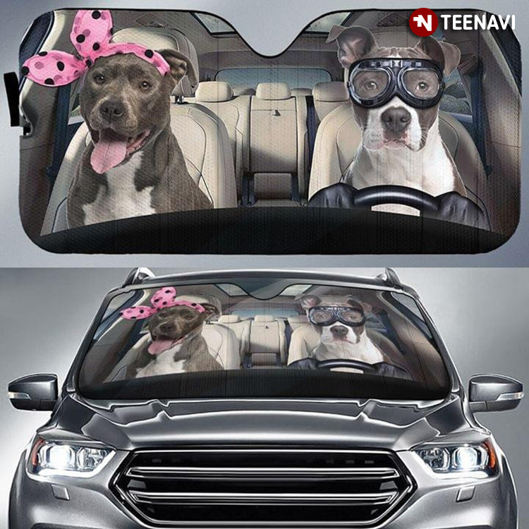 Cool Pitbull Driving For Dog Lover