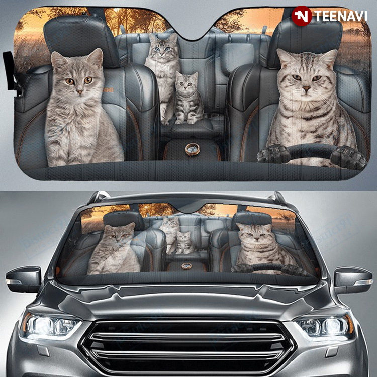 British Shorthair Cat Family Driving Funny For Cat Person