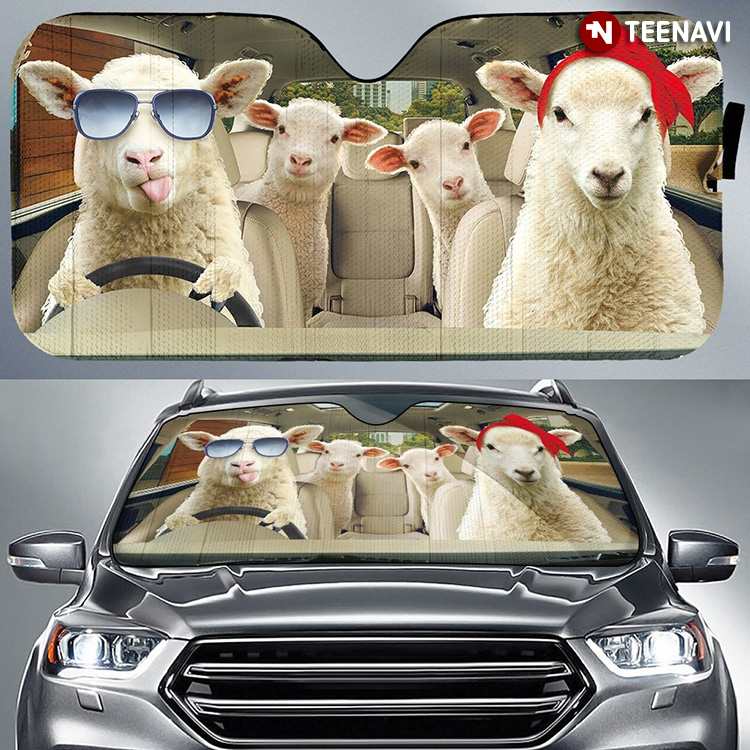 Counting Sheep But Don't Sleep While Driving For Sheep Lover