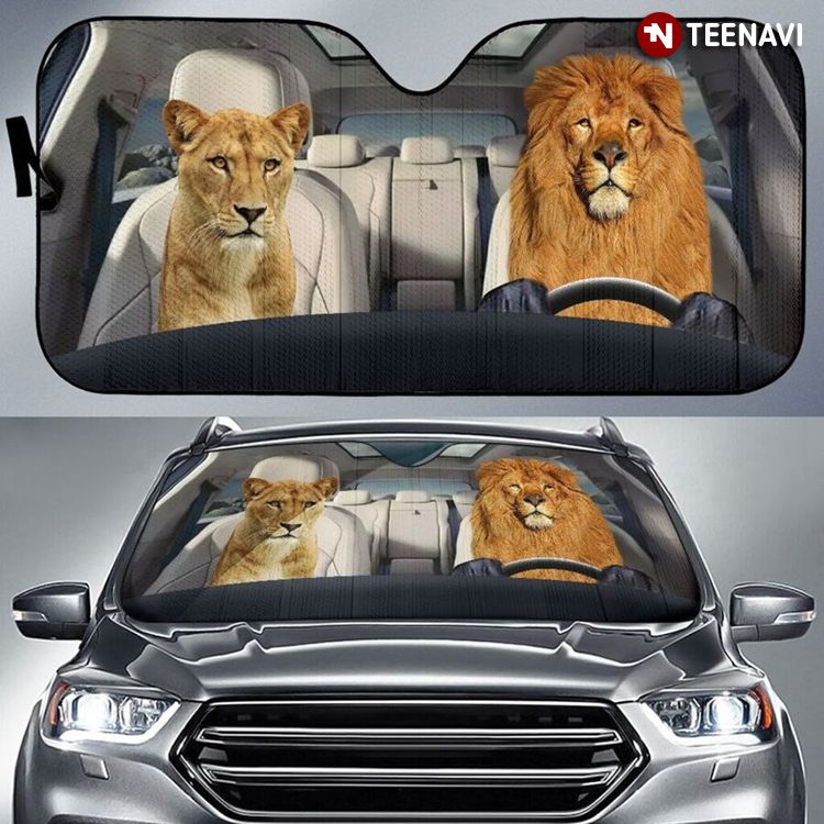 Couple Lion Driving A Car For Wild Animal Lover