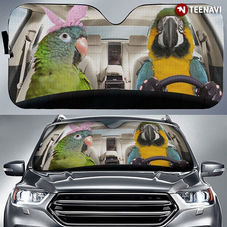 Couple Cute Parrot Driving A Car For Fun