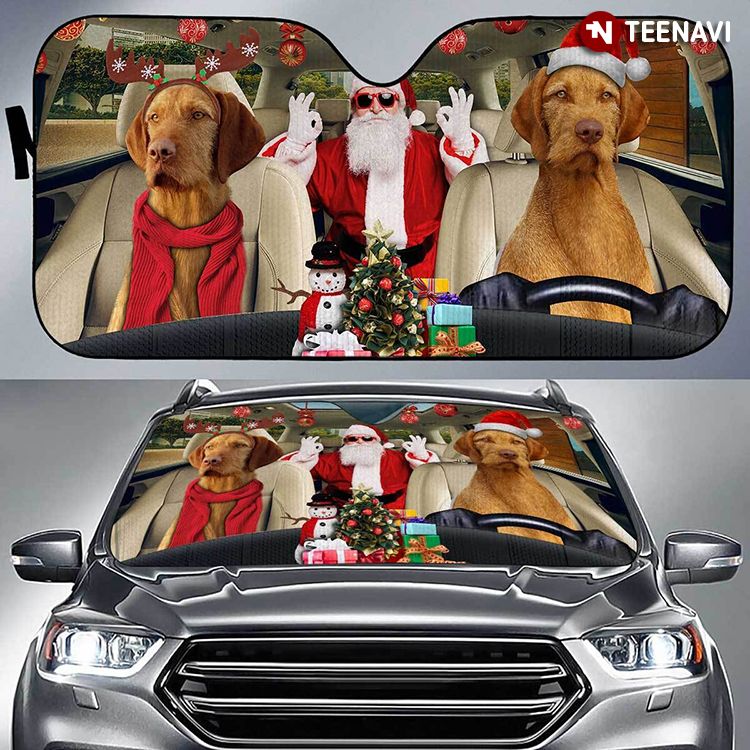 Christmas Vizsla Dog Family Driving To X'mas Party