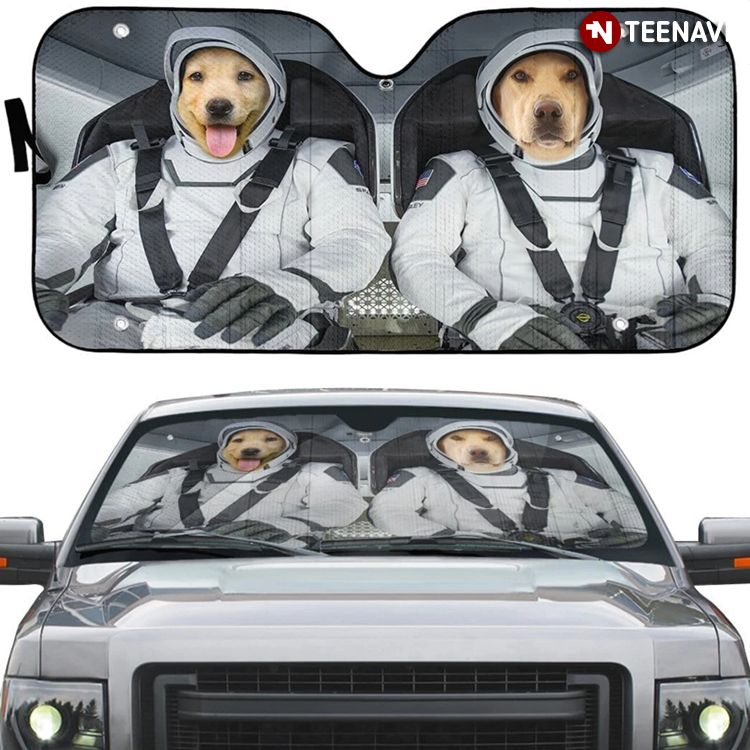 Cute Dog Astronaut Driving To The Space