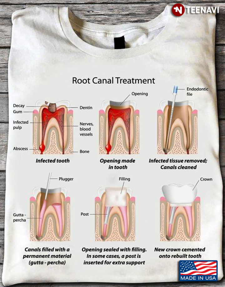 Root Canal Treatment Human Teeth for Dentist