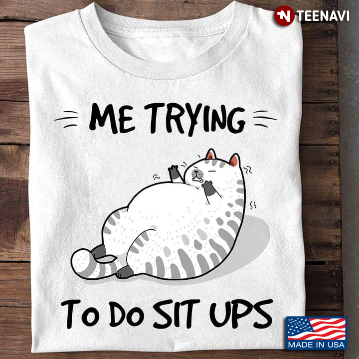Cat Me Trying To Do Sit Ups for Cat Lover