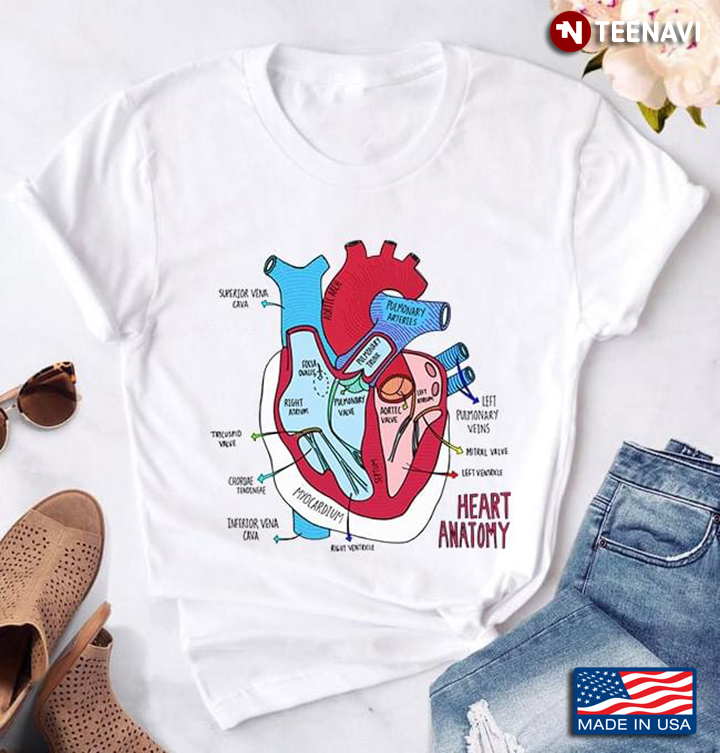 Heart Anatomy Structure Of Human Heart Diagram Cardiology Knowledge