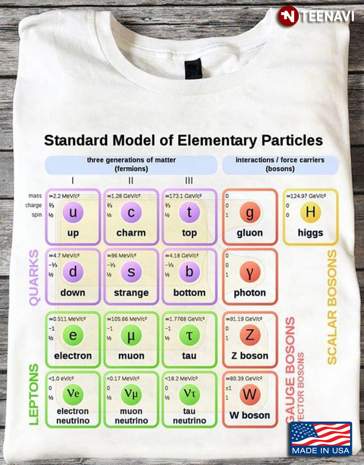 Standard Model Of Elementary Particles