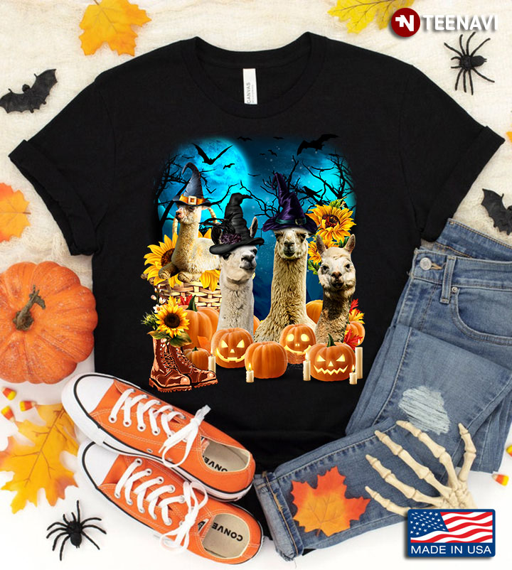 Llamas With Jack O' Lanterns And Sunflowers for Halloween