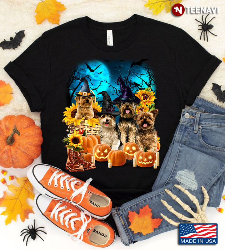 Yorkshire Terrier With Jack O' Lanterns And Sunflowers for Halloween