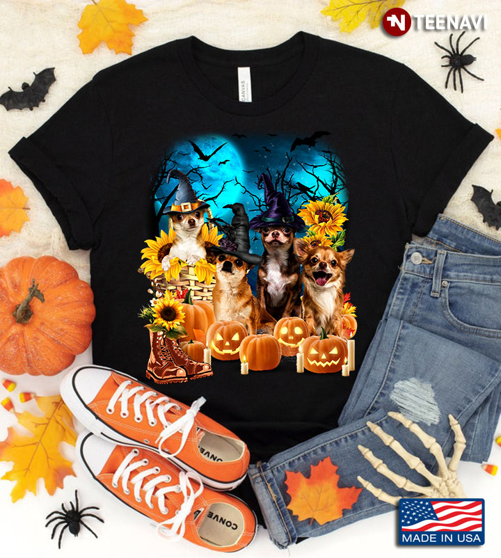 Chihuahuas With Jack O’ Lanterns And Sunflowers for Halloween