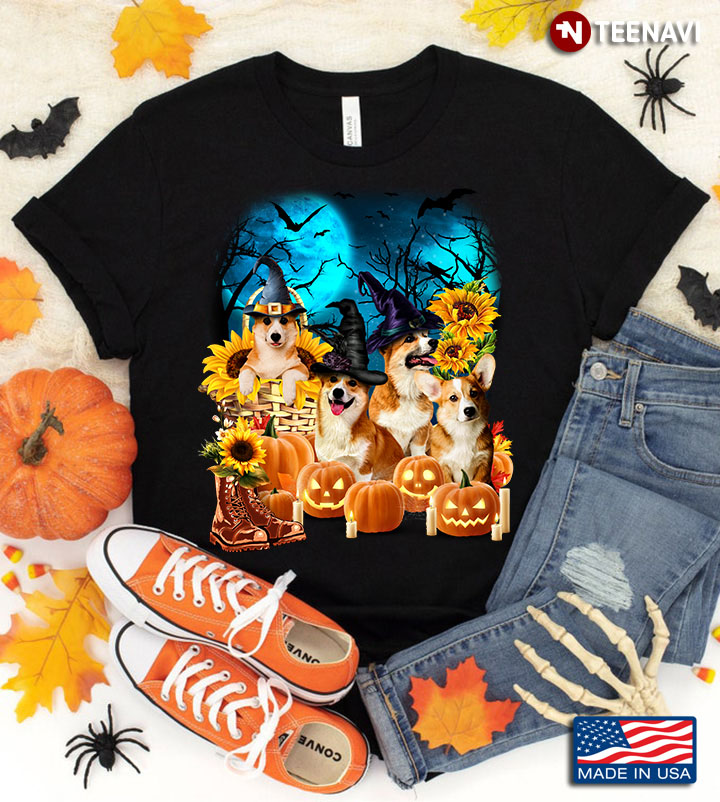 Corgis With Jack O’ Lanterns And Sunflowers for Halloween