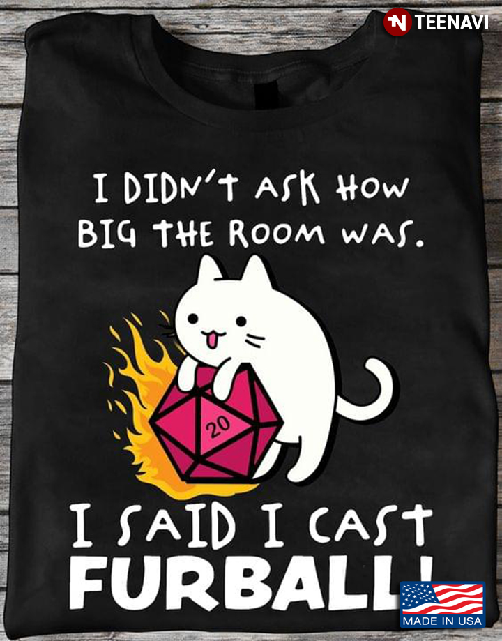 I Didn't Ask How Big The Room Was I Said I Cast Furball Cat With Dice Dungeons & Dragons