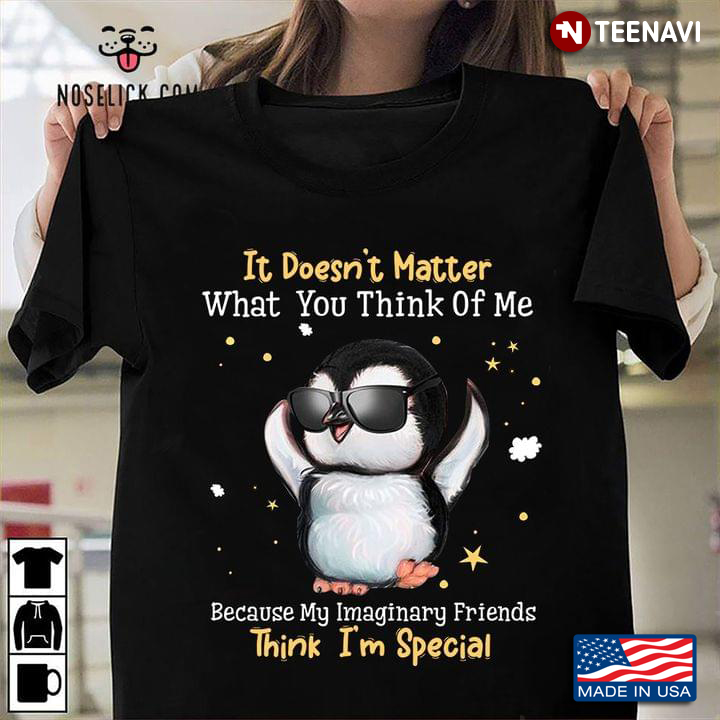 Funny Penguin It Doesn’t Matter What You Think Of Me Because My Imaginary Friends Think I’m Special