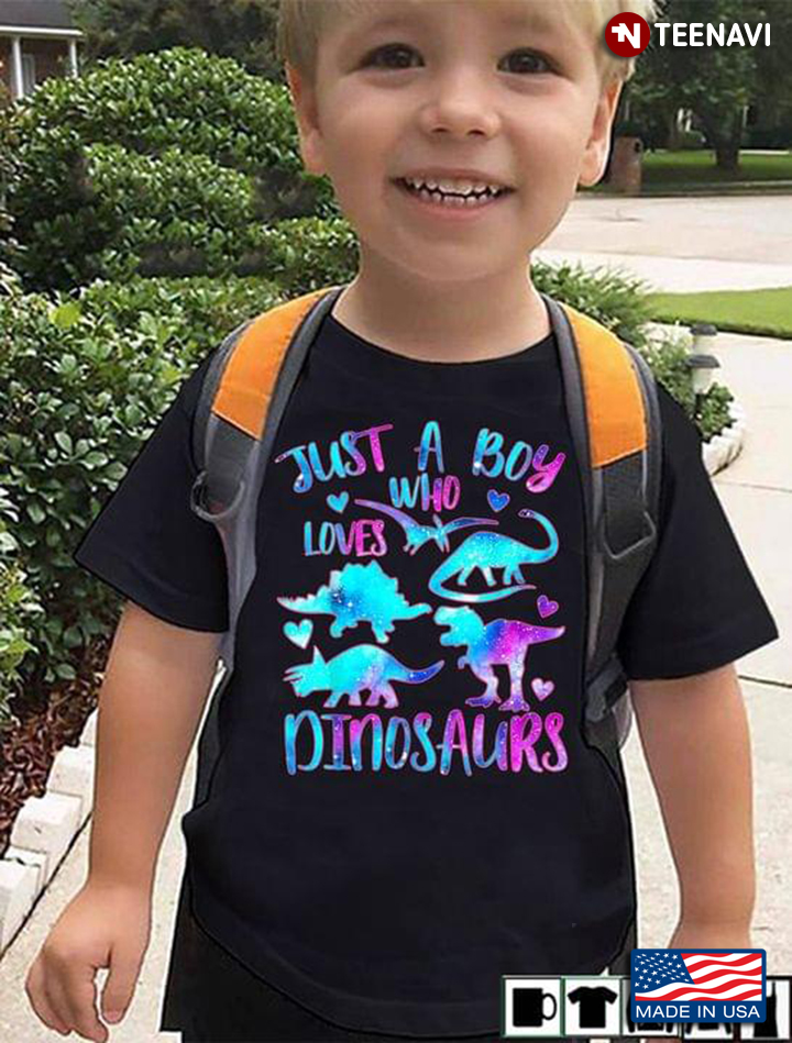 Just A Boy Who Loves Dinosaurs Gift for Boys
