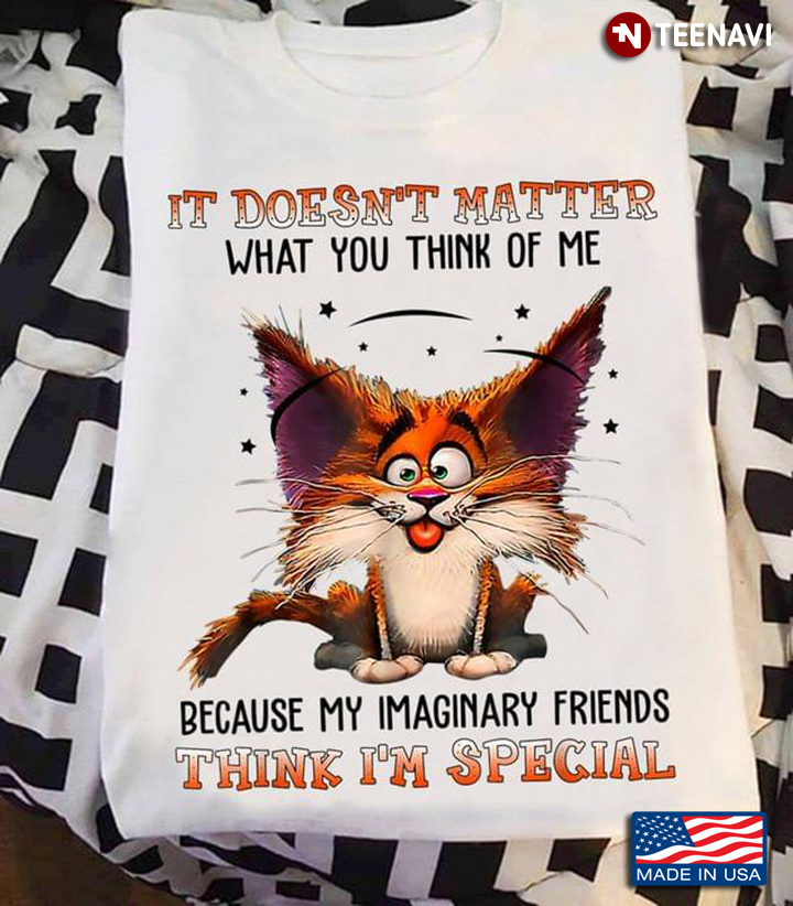 Funny Cat It Doesn’t Matter What You Think Of Me Because My Imaginary Friends Think I’m Special