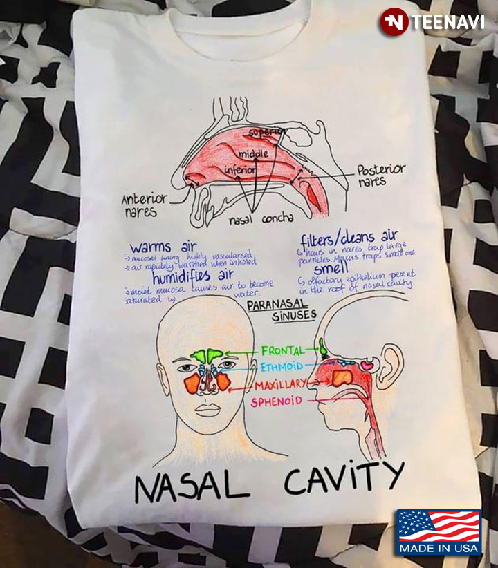 Nasal Cavity Nose Medical Human Health