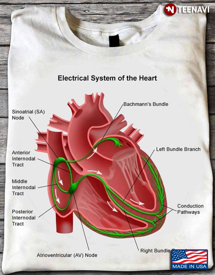Electrical System Of The Heart for Cardiologist