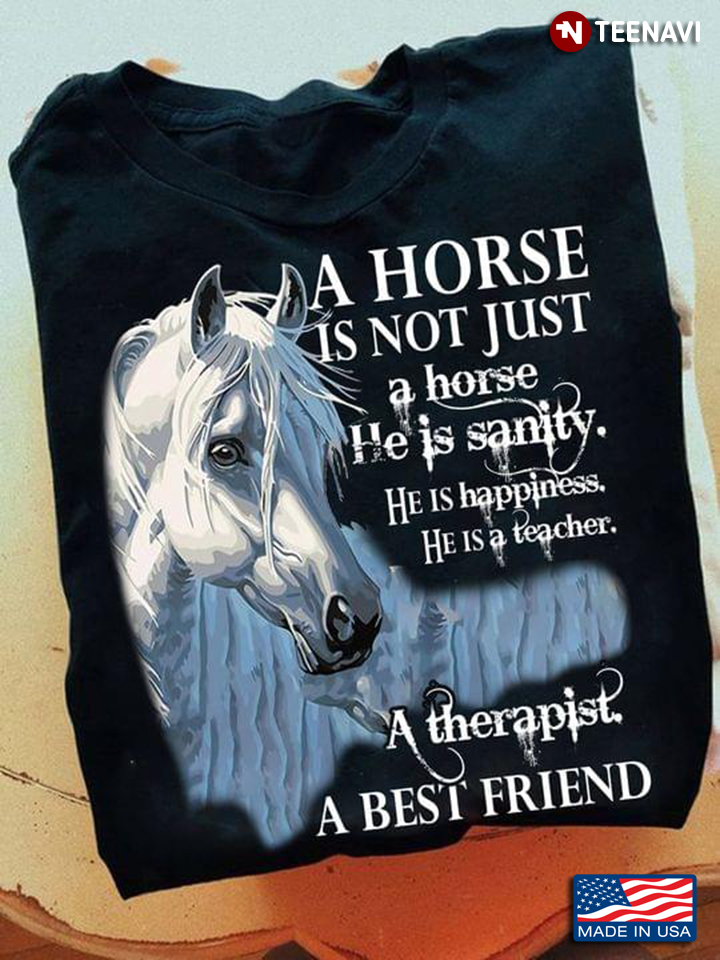 A Horse Is Not Just A Horse He Is Sanity He Is Happiness He Is A Teacher A Therapist A Best Friend