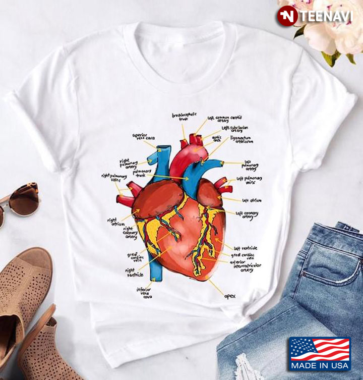 The Anatomy Of Heart Human Health for Cardiologist