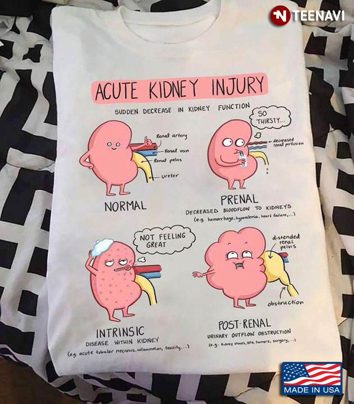 Acute Kidney Injury Sudden Decrease In Kidney Function