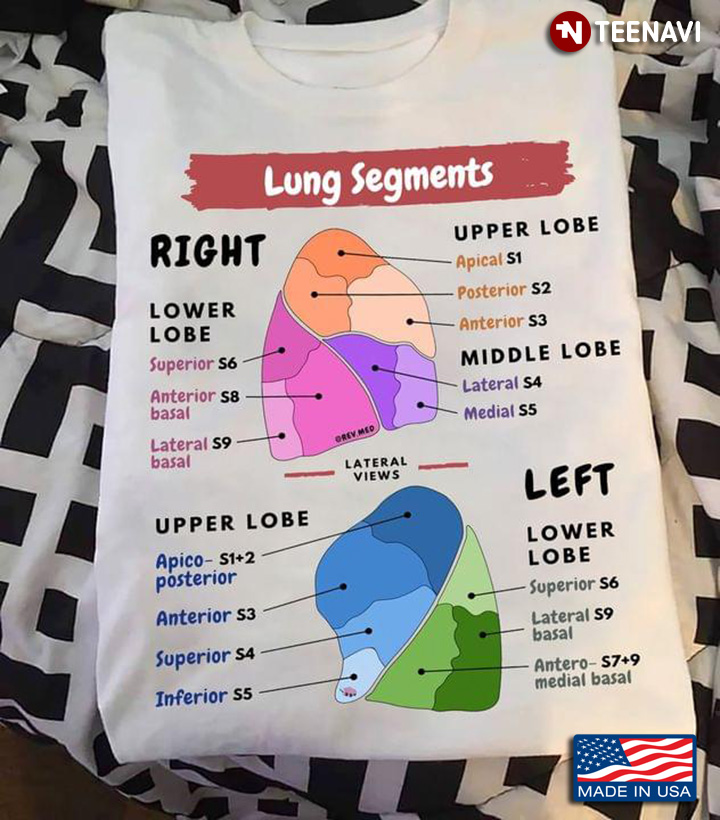 Lung Segments Right Lower Lobe Superior Anterior Basal Upper Lobe Apical Posterior Anterior