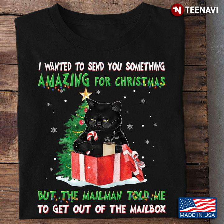 Black Cat I Wanted To Send You Something Amazing For Christmas But The Mailman Told Me To Get Out Of