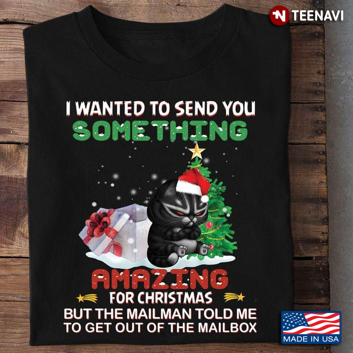 Grumy Cat I Wanted To Send You Something Amazing For Christmas But The Mailman Told Me To Get Out Of