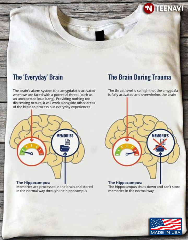 The Everyday Brain The Brain During Trauma The Hippocampus