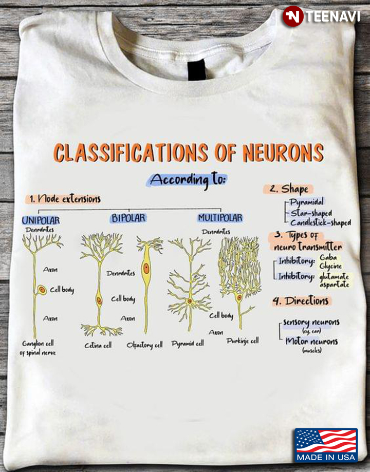 Classifications Of Neurons According To Node Extensions Shape